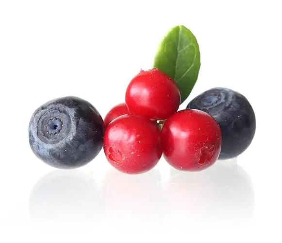 Bilberry berry extract.jpg